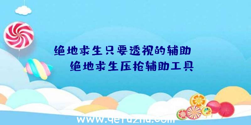 「绝地求生只要透视的辅助」|neo绝地求生压枪辅助工具